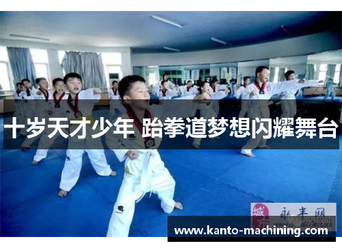 十岁天才少年 跆拳道梦想闪耀舞台
